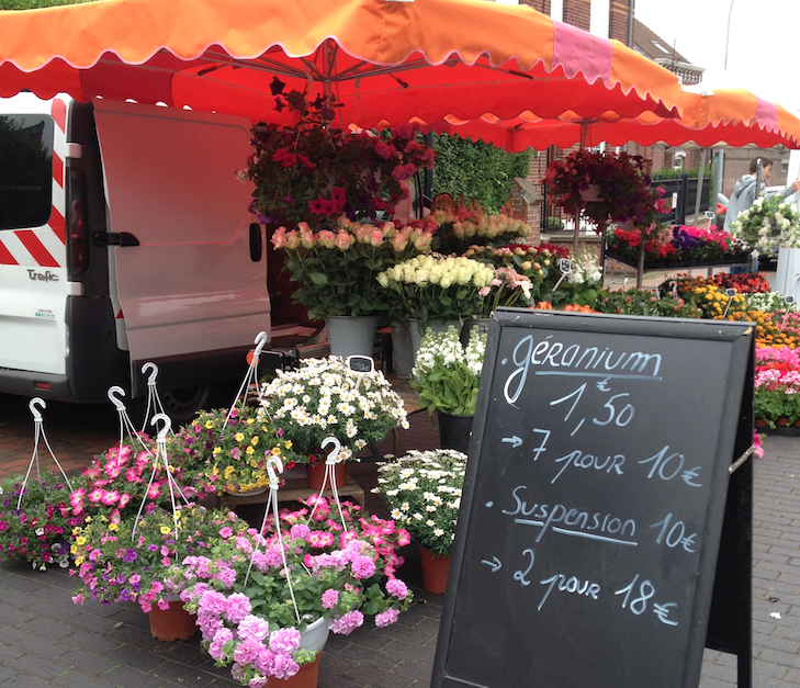 Les fleurs de Dubus