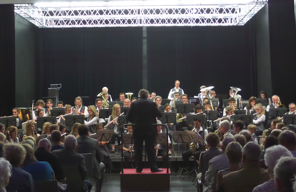 Ensemble orchestral de Hem juin 2015