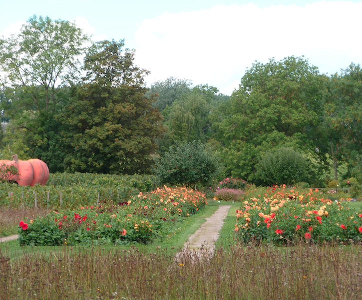 Excursion des aînés Willems 2015