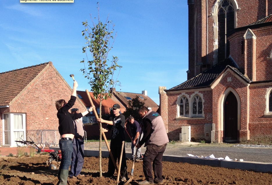 Des plantations en mode collaboratif ! Merci à tous !