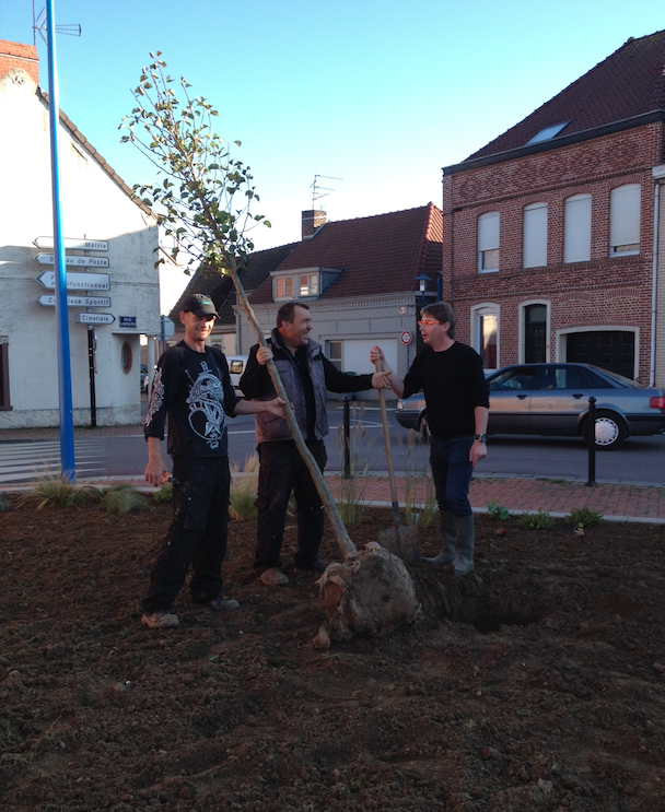 Des plantations en mode collaboratif ! Merci à tous !