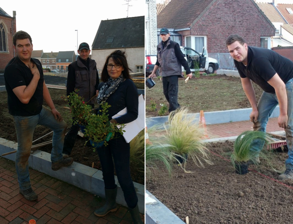 Plantation des massifs du jardin à Willems