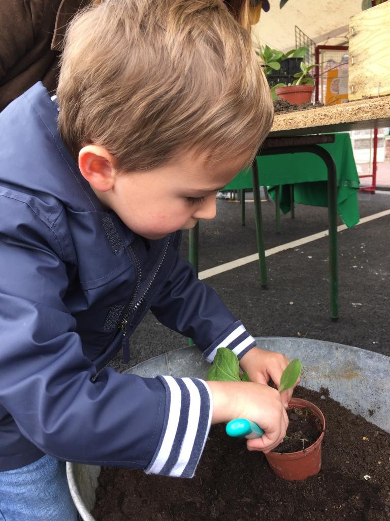 Atelier de plantation pour les petits Fête de la nature