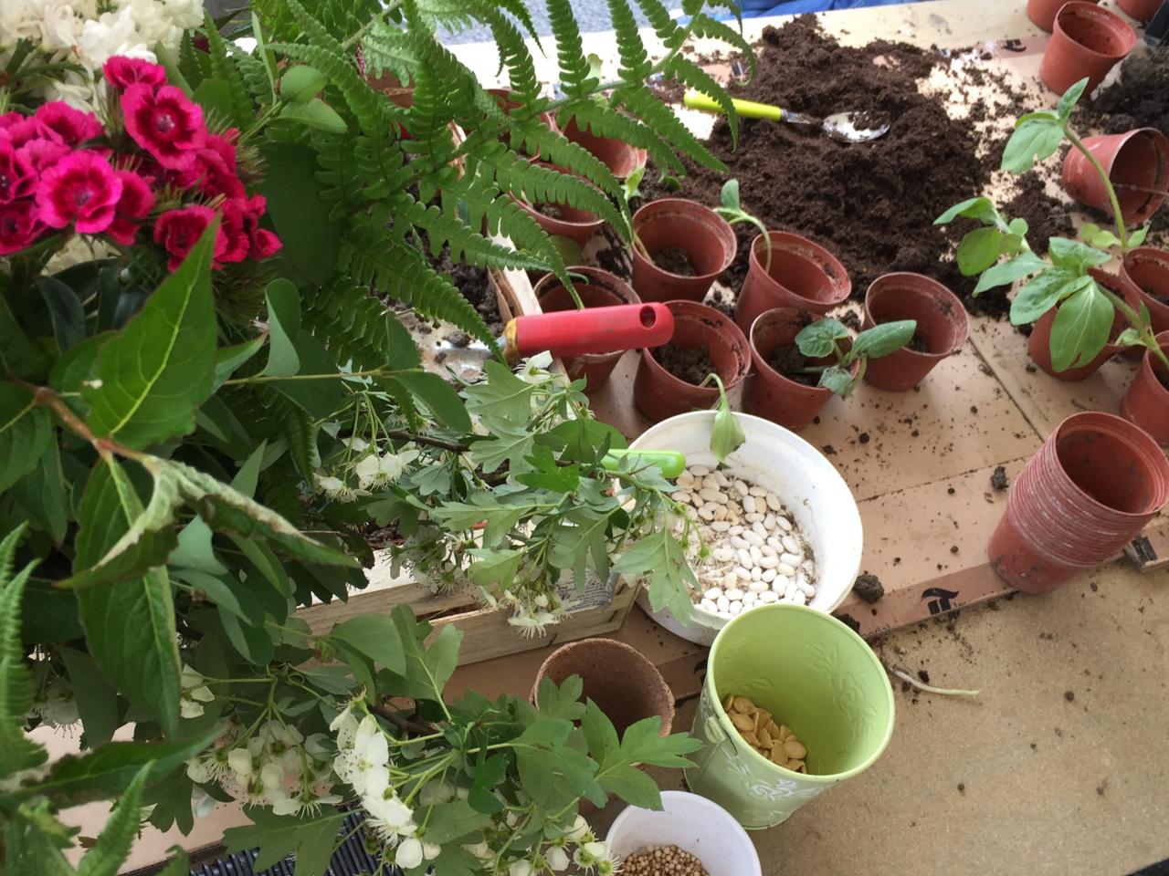 Atelier de plantation pour les petits Fête de la nature