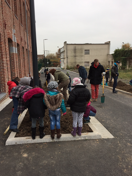 Festival de l'arbre 26 novembre 2016