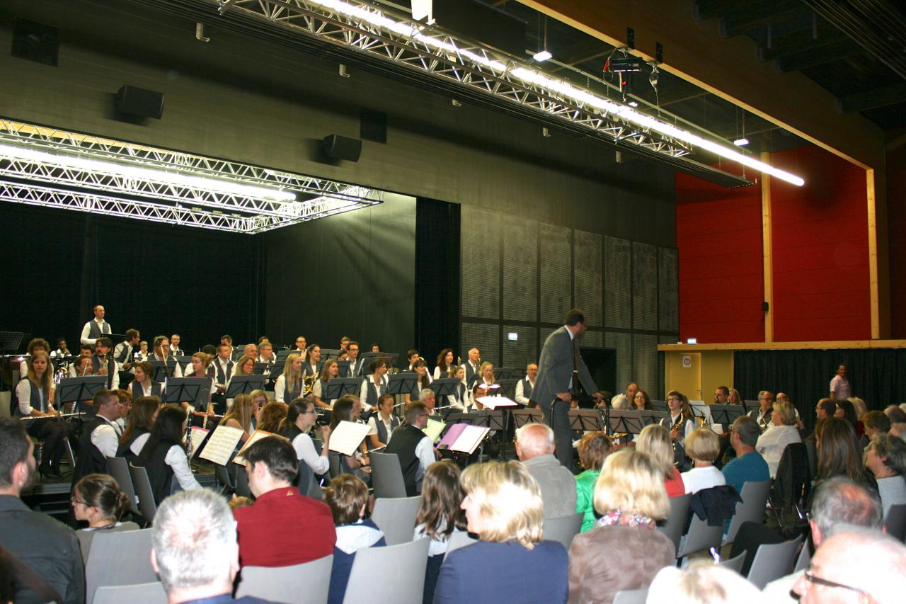  Ensemble orchestral de Hem juin 2015