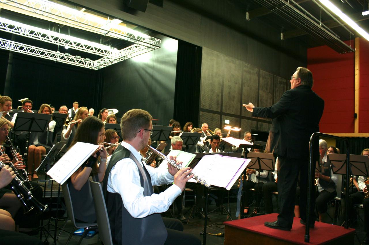 Ensemble orchestral de Hem à Willems juin 2015