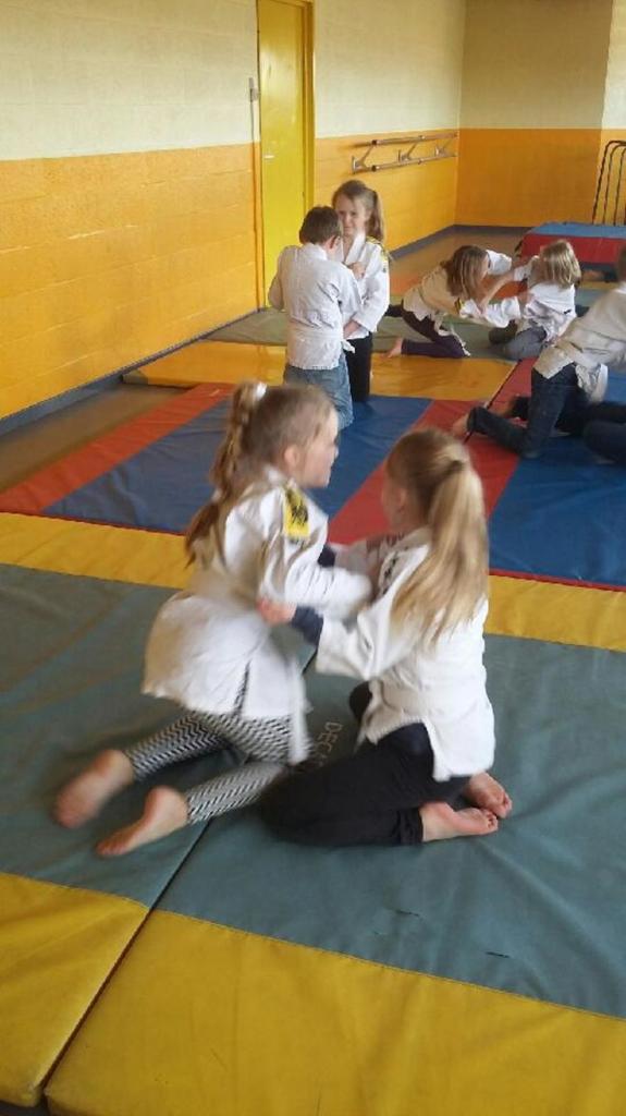 NAP judo classe MMes bergem et Dehondt