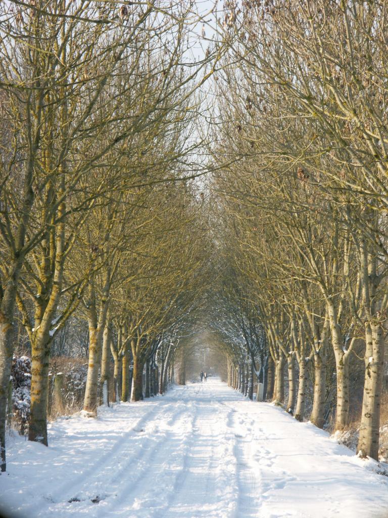 Chemin Rue de Chereng