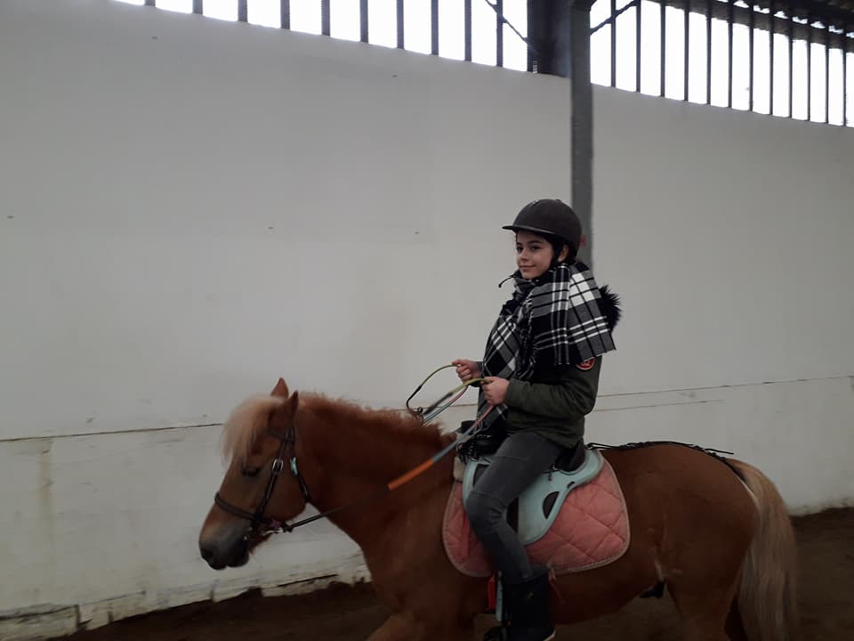 Sortie équitation à aux écuries de Willems