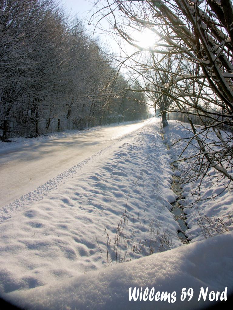 Rue de Chereng à Willems