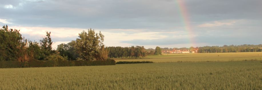 Concours photo Willems au fil des saisons - Mathias CALLEBERT MOUY