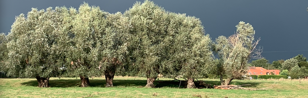 Concours photo Willems au fil des saisons - Ghislaine Tassin